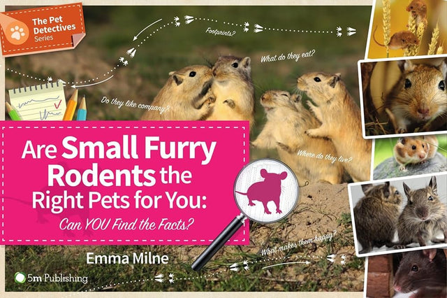 Are Small Furry Rodents the Right Pets for You