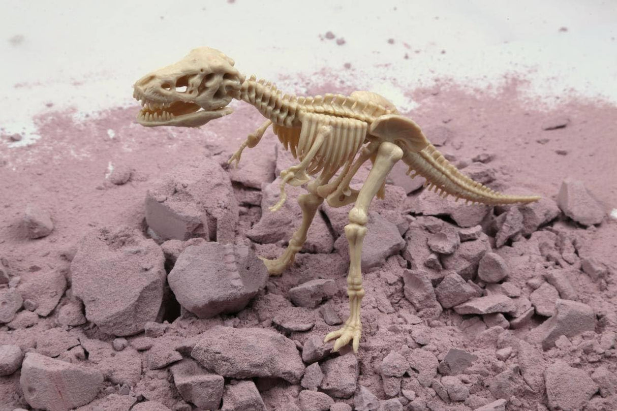 4M Dig A T Rex Skeleton