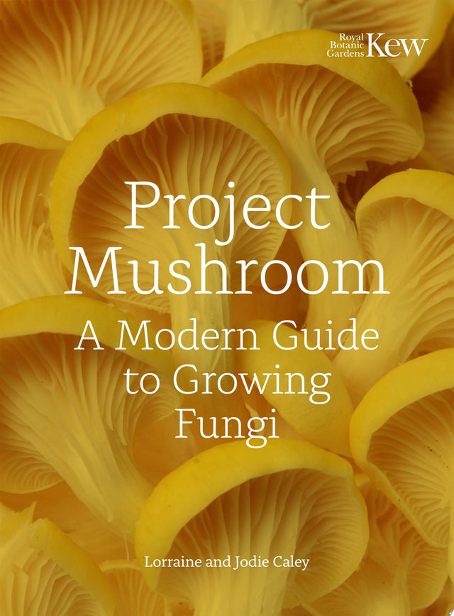Project Mushroom