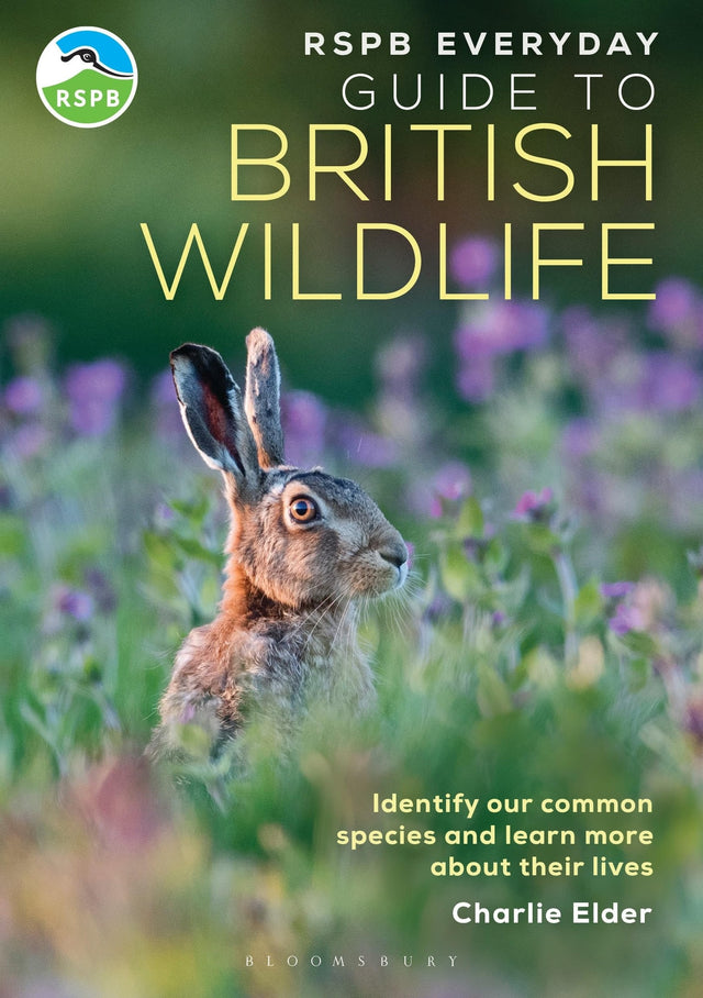 RSPB Everyday Guide to British Wildlife