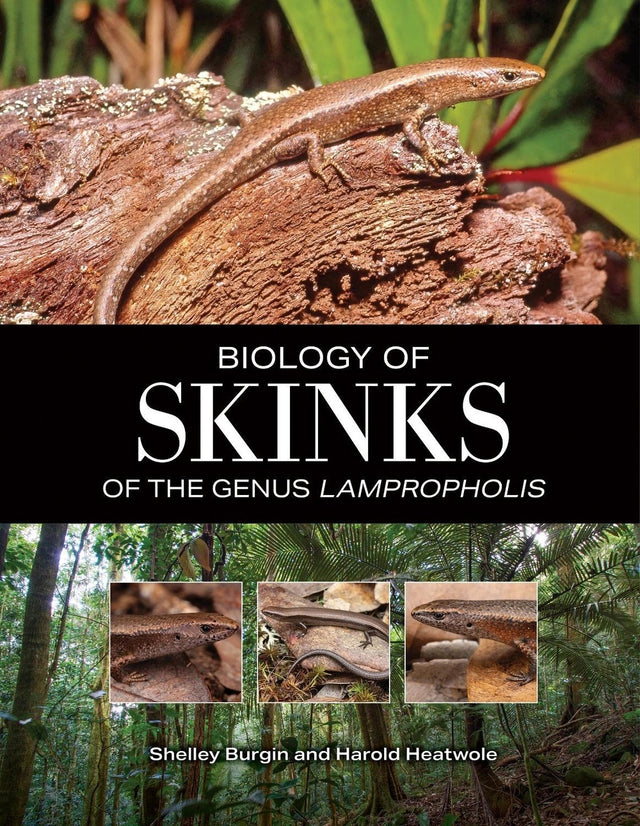 Biology of Skinks of the Genus Lampropholis
