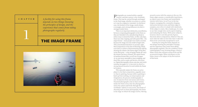 The Photographer's Eye (Definitive Edition)