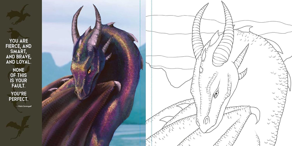 Onyx Storm The Official Coloring Book