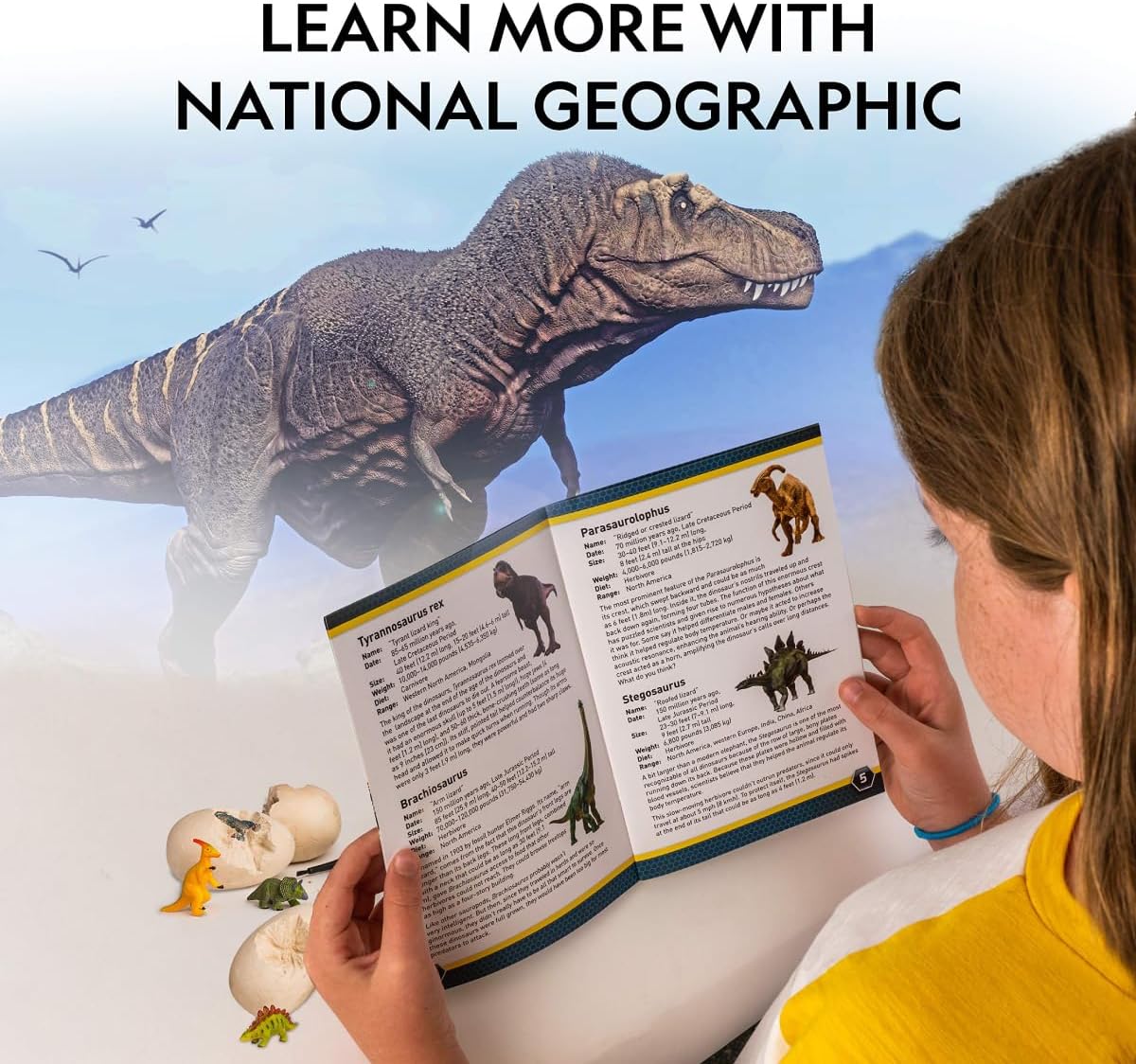 National Geographic Dino Egg Dig Kit