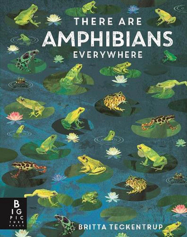 There Are Amphibians Everywhere