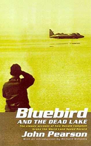 Bluebird & the Dead Lake