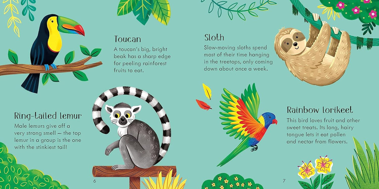 Zoo Matching Games and Book