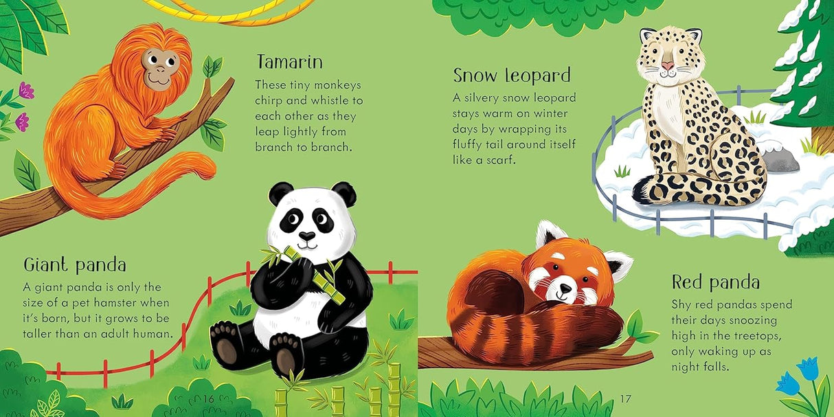 Zoo Matching Games and Book