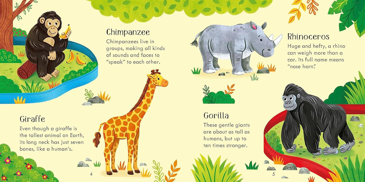Zoo Matching Games and Book