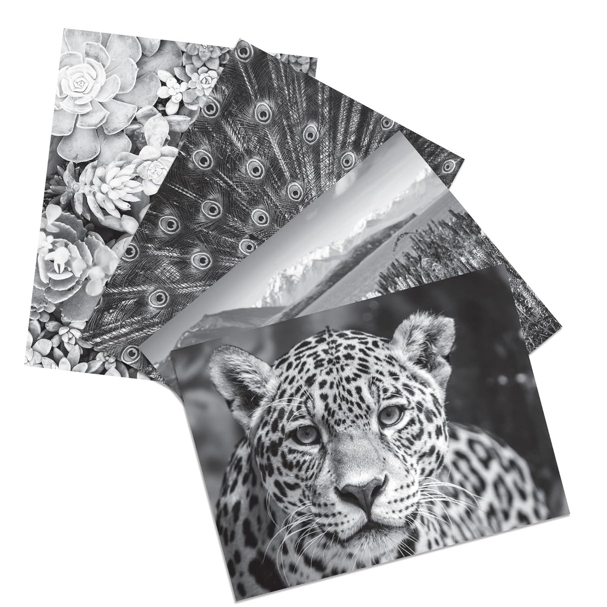 Crayola HD Coloring Kit