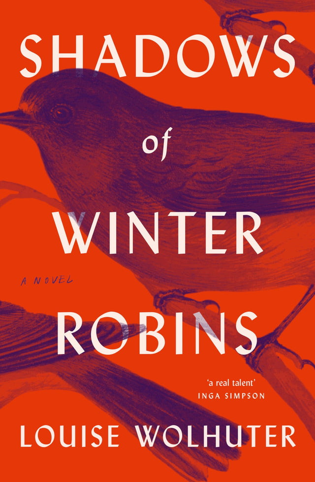 Shadows of Winter Robins