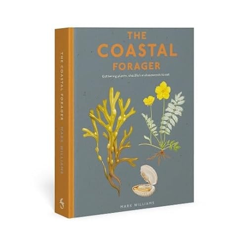 The Coastal Forager