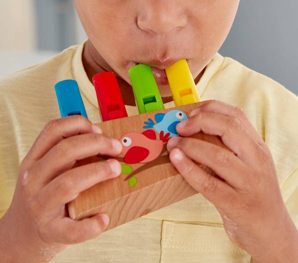 Hape: Rainbow Pan Pipe