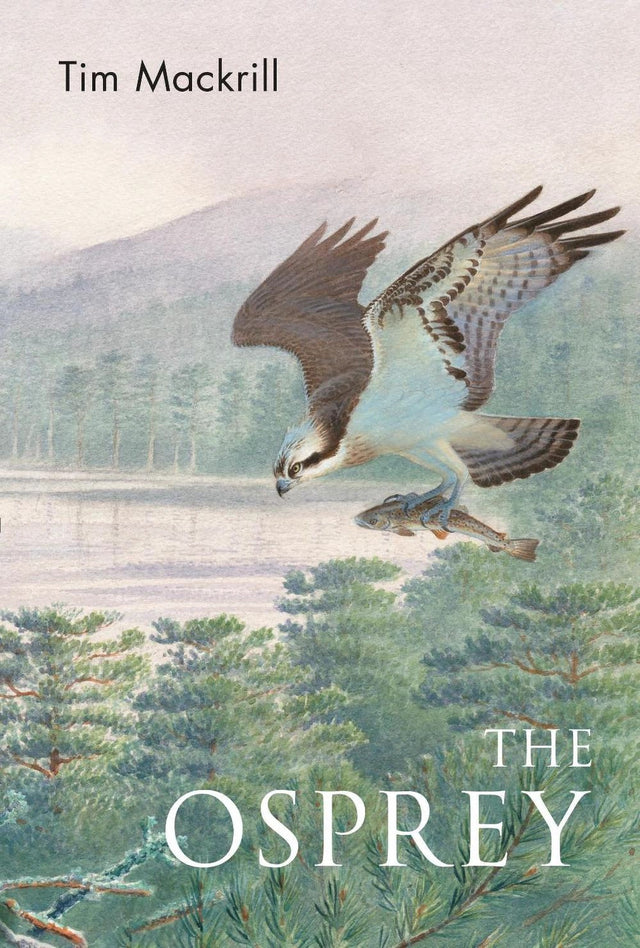 The Osprey