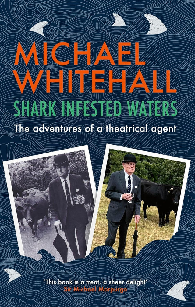Shark-Infested Waters