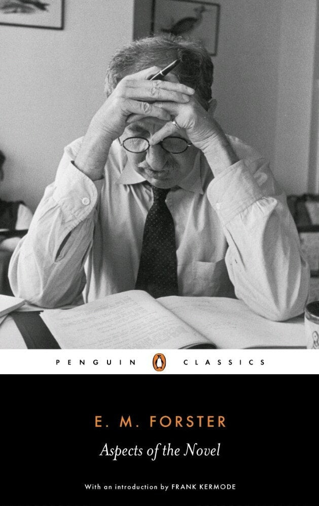 Aspects of the Novel