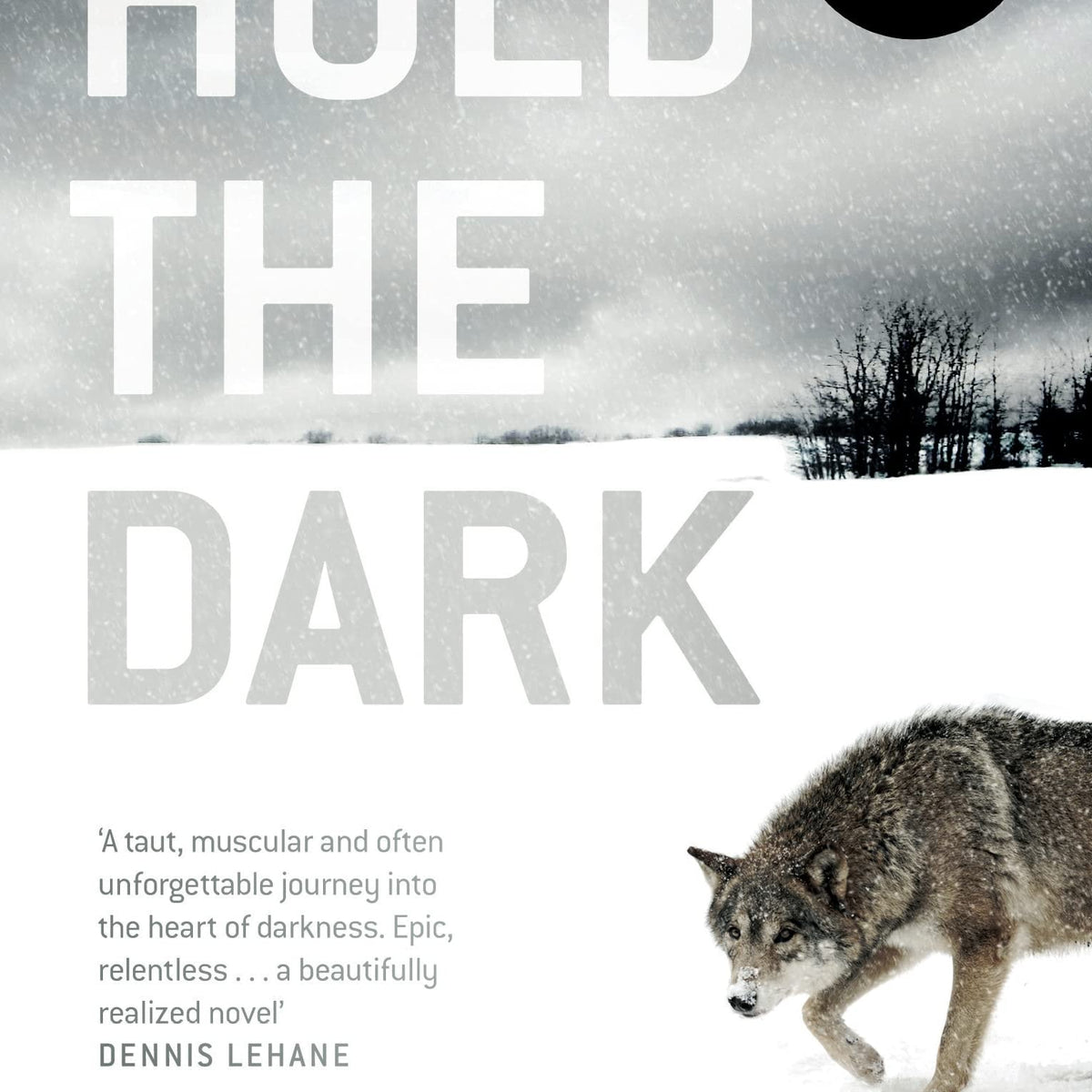 busy monsters william giraldi Hold the Dark by William Giraldi – Book Hero