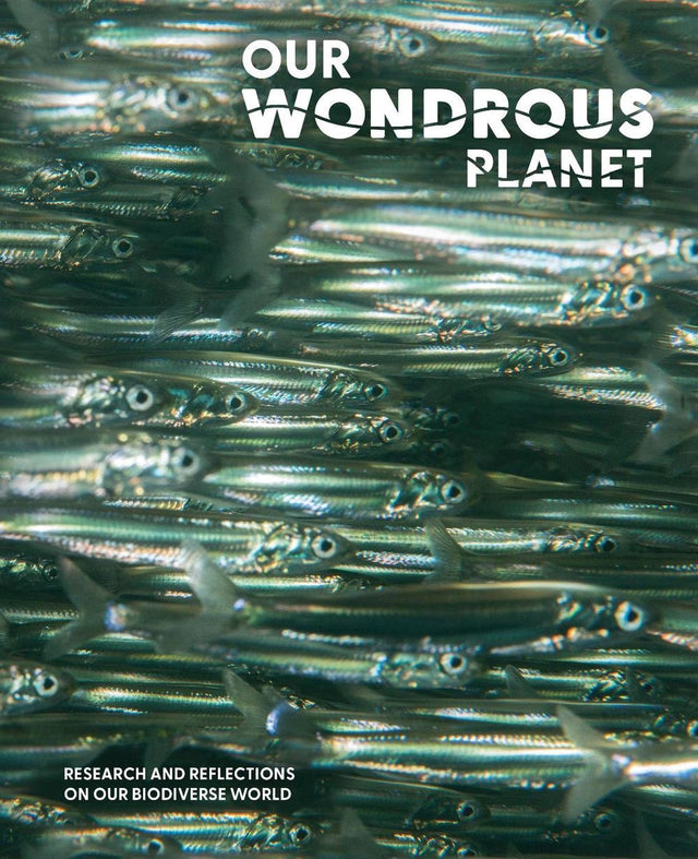 Our Wondrous Planet