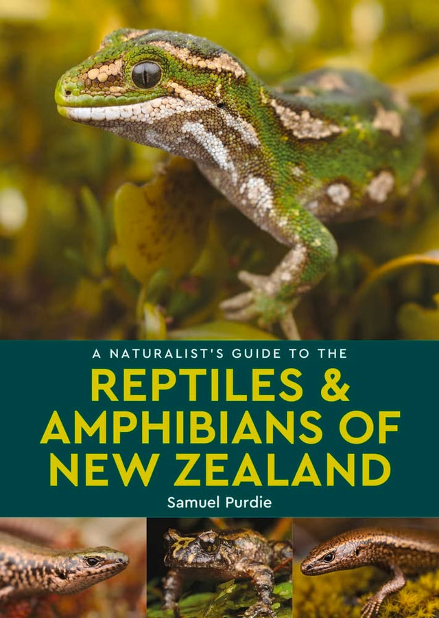 A Naturalist's Guide to the Reptiles & Amphibians Of New Zealand