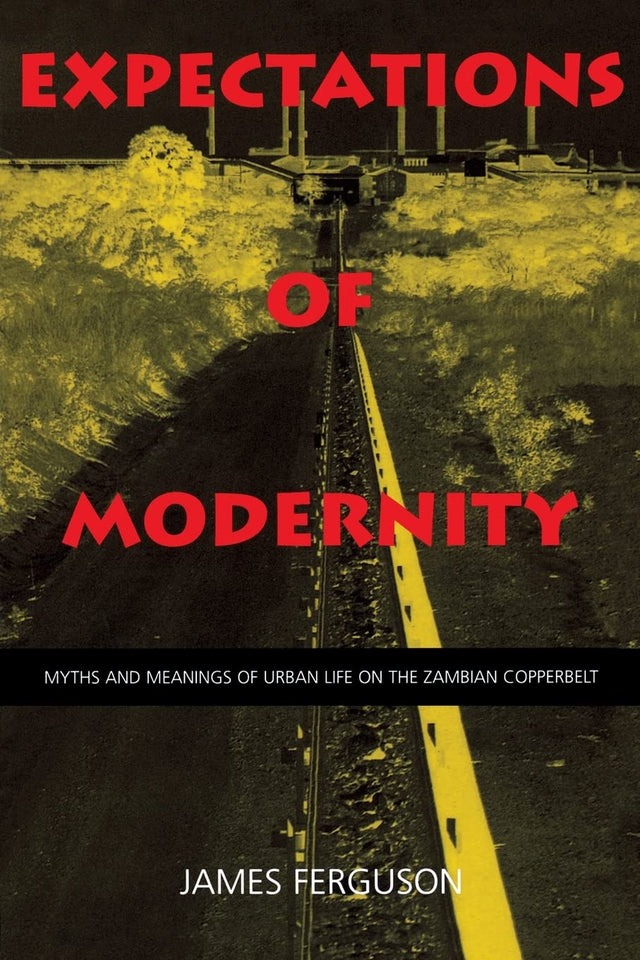 Expectations of Modernity
