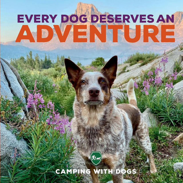 Every Dog Deserves an Adventure