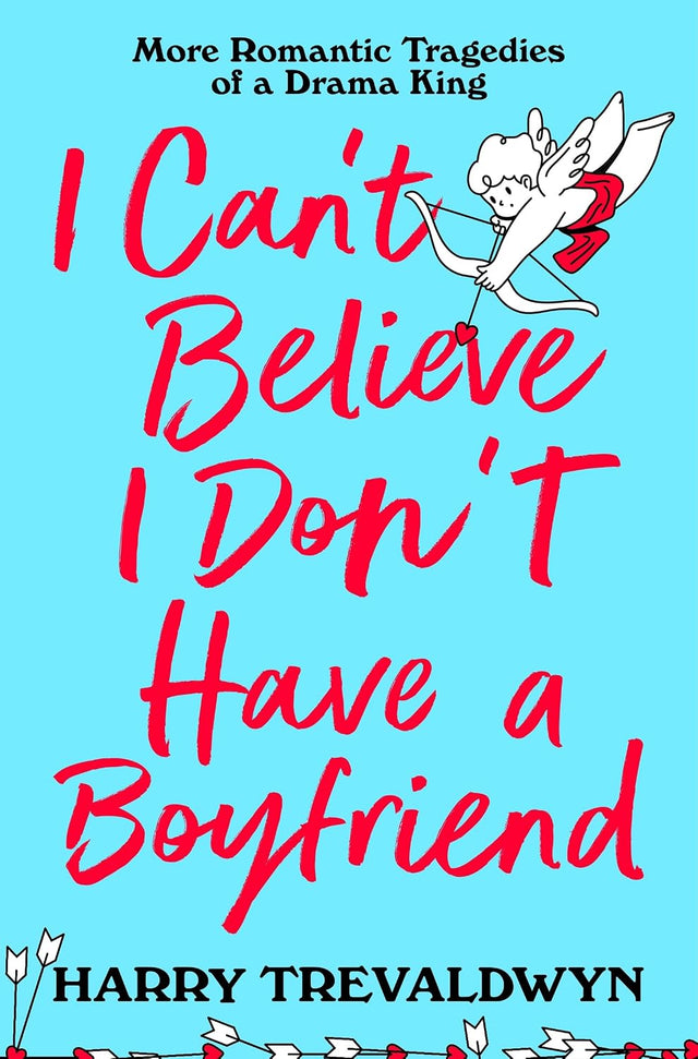 I Can't Believe I Don't Have a Boyfriend