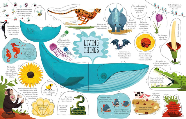 Lift-the-Flap General Knowledge