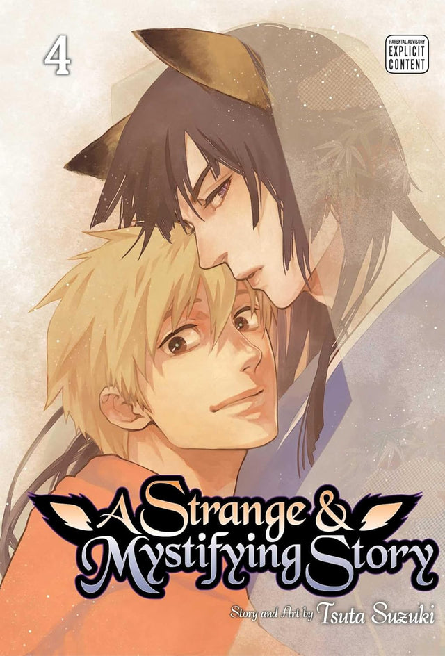 Strange & Mystifying Story, Vol. 4
