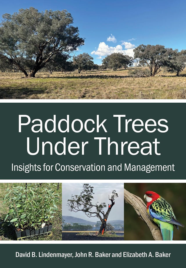 Paddock Trees Under Threat