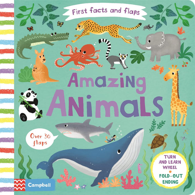 Amazing Animals