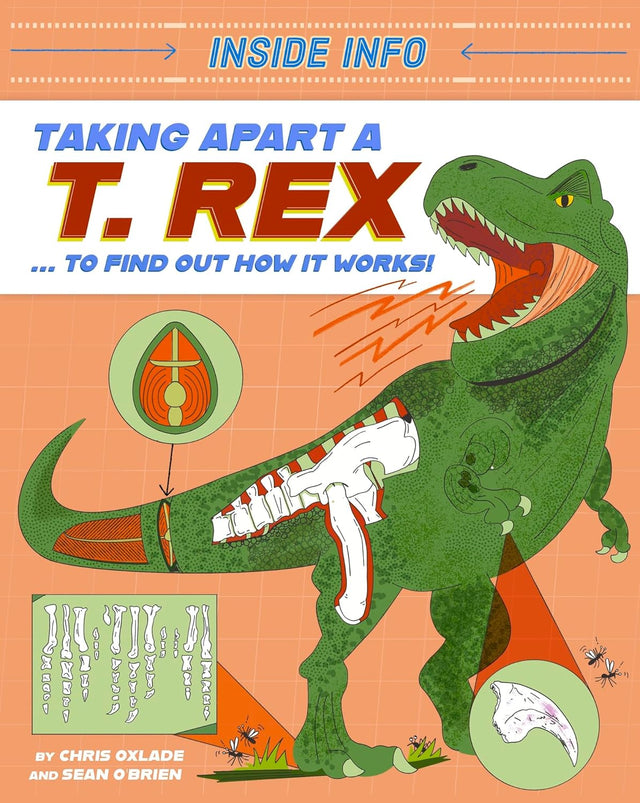 Inside Info: Taking Apart a T. rex