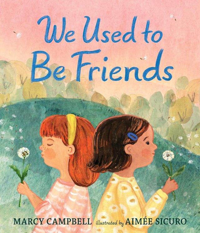 We Used to Be Friends