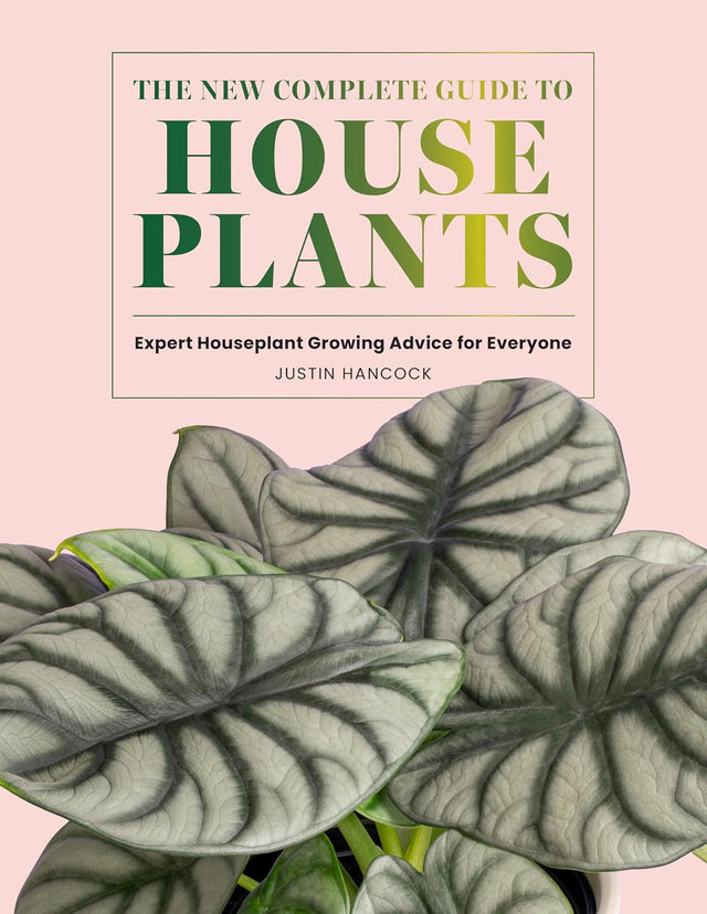The New Complete Guide to Houseplants