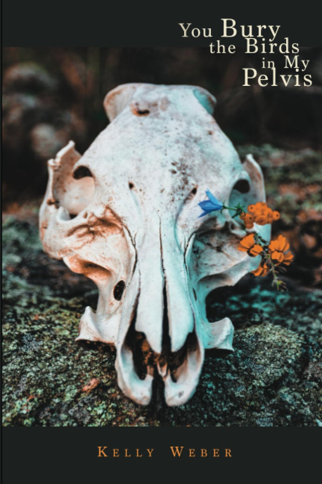 You Bury the Birds in My Pelvis