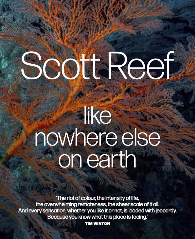 Scott Reef
