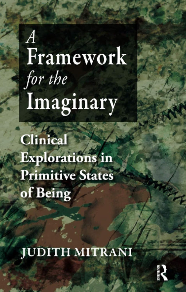 A Framework for the Imaginary