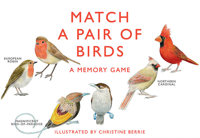 Match a Pair of Birds