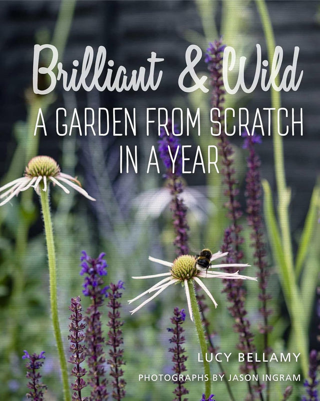 Brilliant and Wild