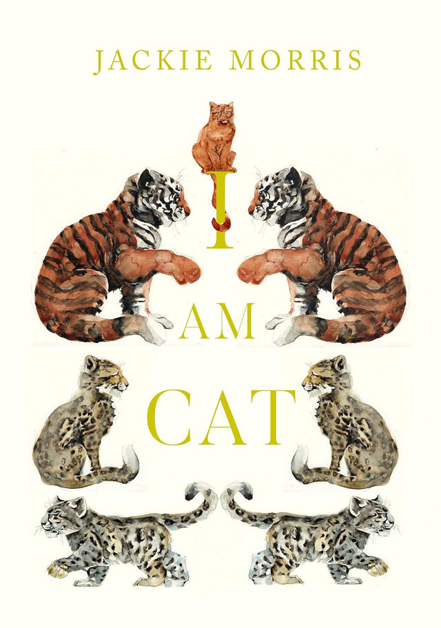 I am Cat