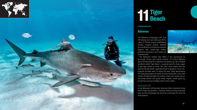 Great Diving Spots - World