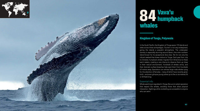 Great Diving Spots - World