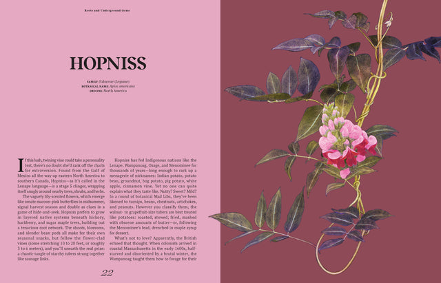 The Curious Lives of Vegetables