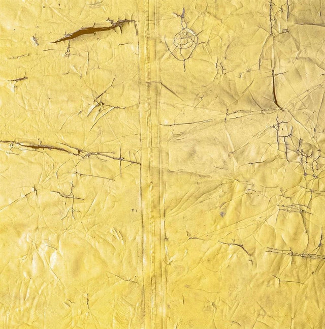 David Hammons