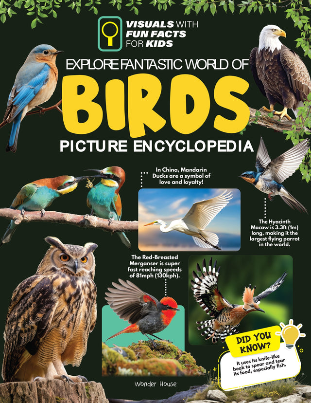 Explore Fantastic World of Birds Picture Encyclopedia