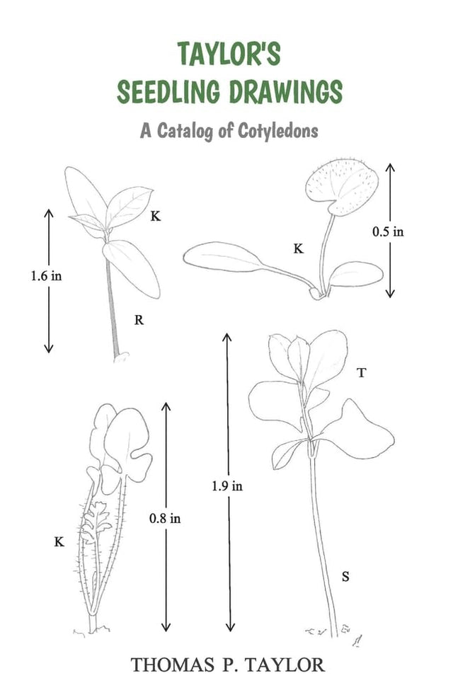 TAYLOR'S SEEDLING DRAWINGS