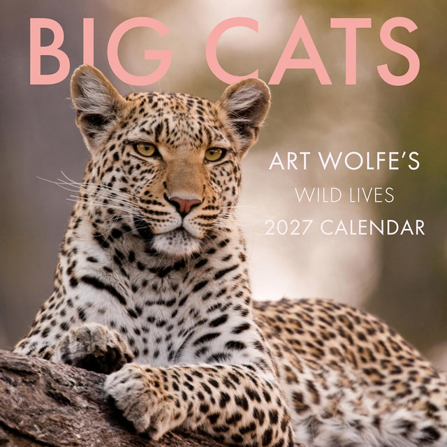 2027 Big Cats Wall Calendar