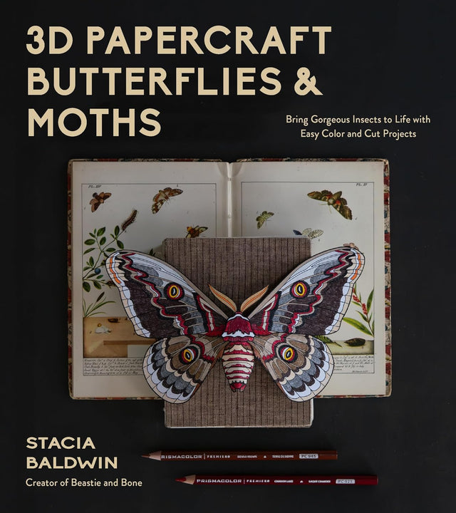 3D Papercraft Insects