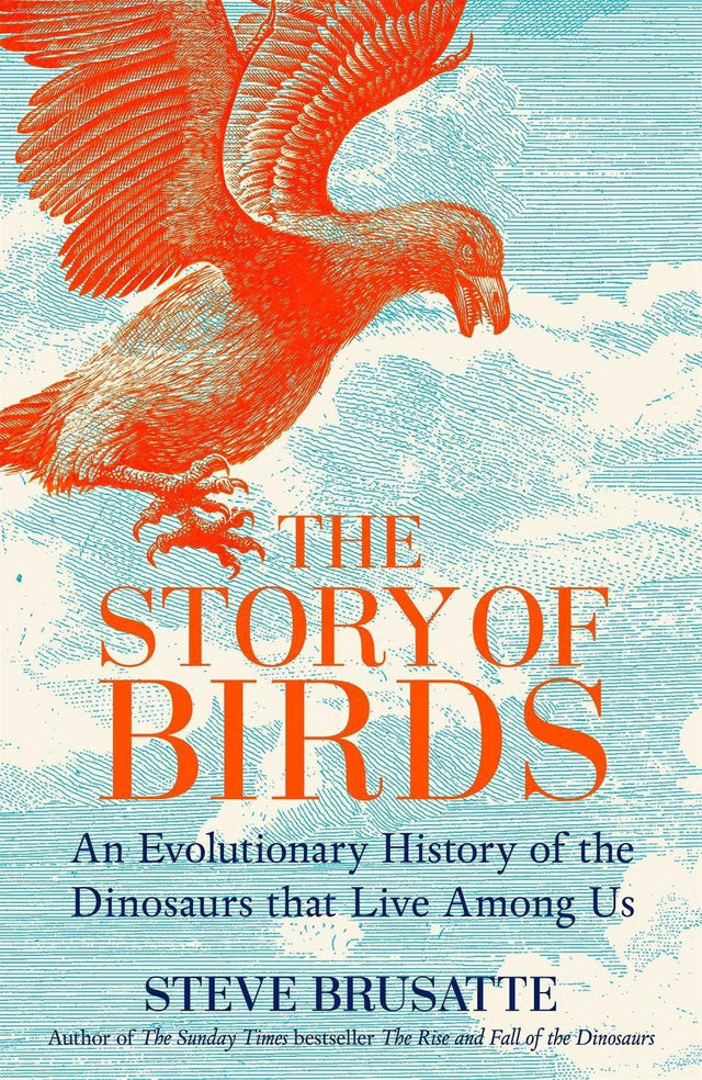 The Story of Birds