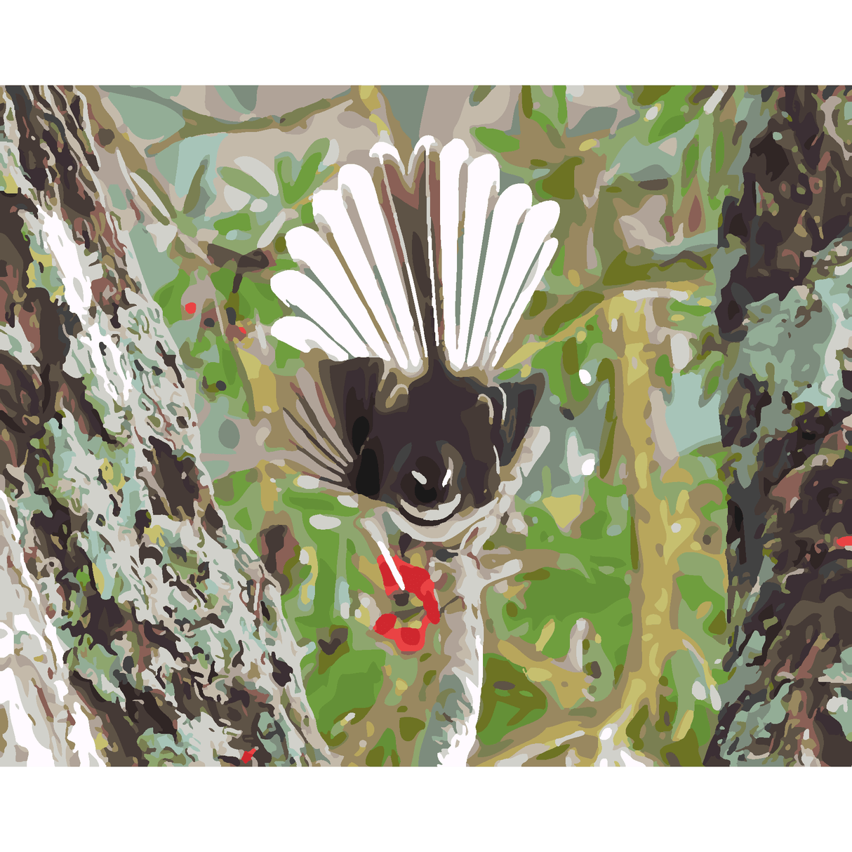 Kiwi Paint By Numbers - Fantail - Piwakawaka