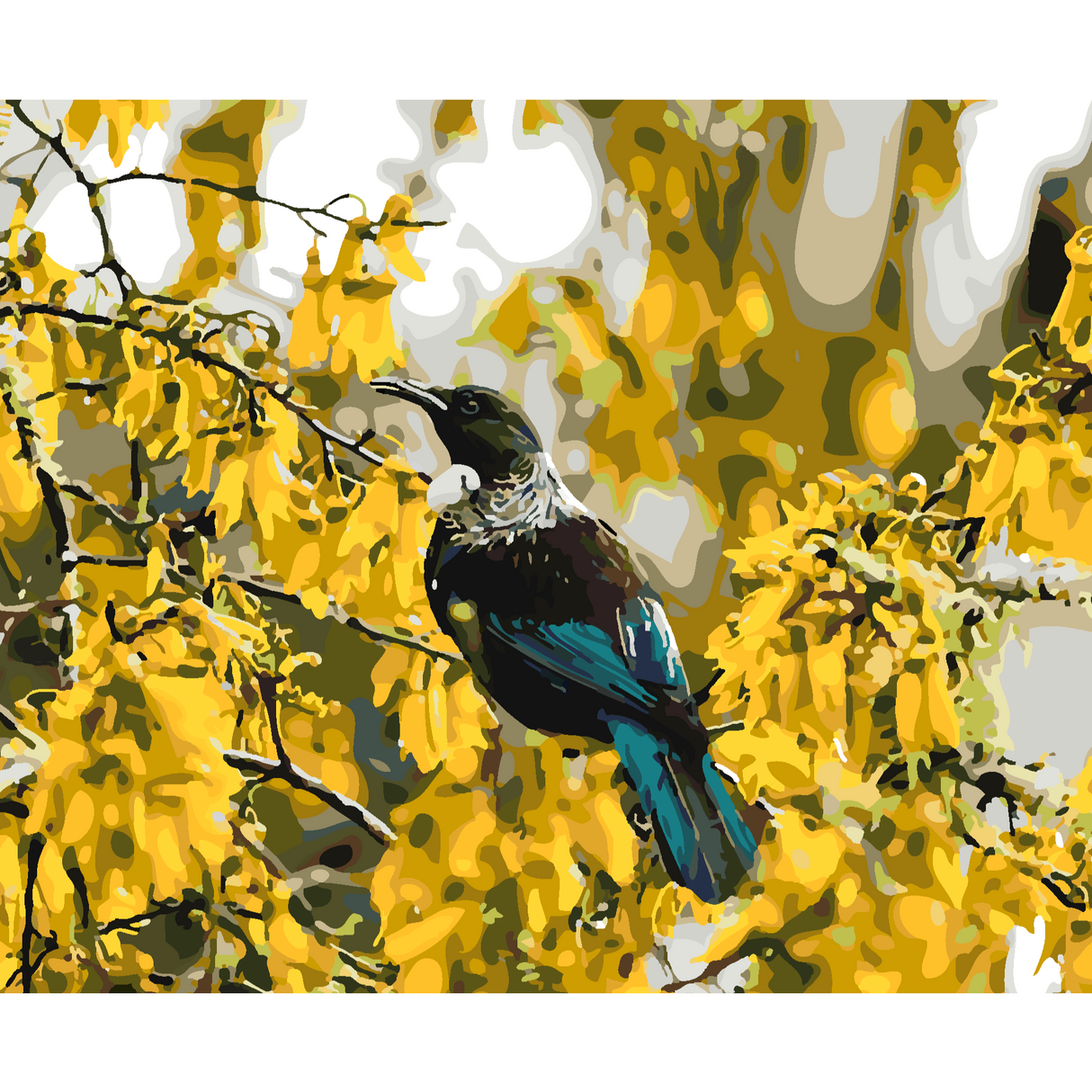 Kiwi Paint By Numbers - Tui in Kowhai Tree